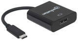 Convertidor USB-C 3.2 a DisplayPort Image 3